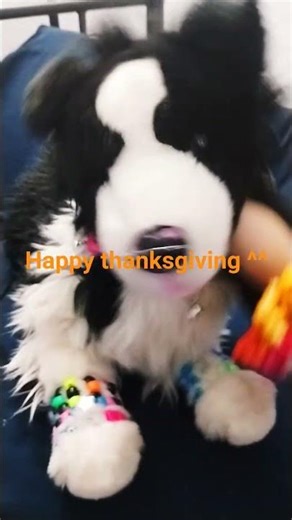 meet axel :3 #Essa #therian #thanksgiving #furry