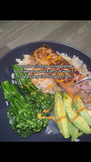 Vivera Vegan Salmon Fillets: A Fish-Free Alternative