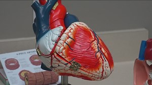 New study says heart disease is on the rise in Texas; cardiologist shares tips for heart health