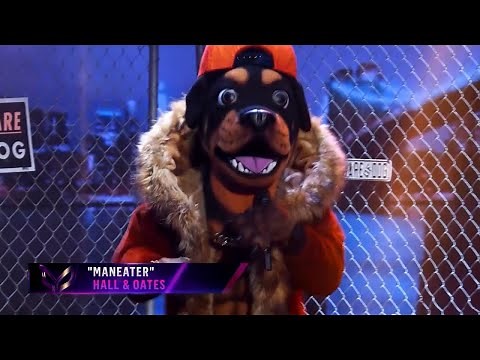 Rottweiler "Chris Daughtry" - Maneater (Masked Singer S2E1)