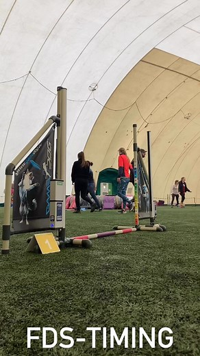 Dog Agility Timer on Reels