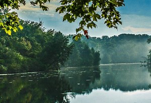 Hamilton Co. voters show strong support for parks levy renewal; police levy also passes