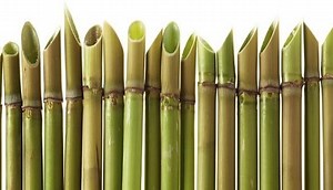 Bambu runcing - Alchetron, The Free Social Encyclopedia