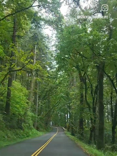 Make this year YOUR YEAR ✨️ Take this as a sign to have the roadtrip you've always wanted. An RV from RV Rentals Way of Life will help you meet that goal 🙌🏼 ⭐️ Featured RV: CML1 📍 Pick up in Hemet, CA or Coachella, CA 🔸️ Delivery set-up also available! #2026 #roadtrip #rvrentals #pnw #scenicview