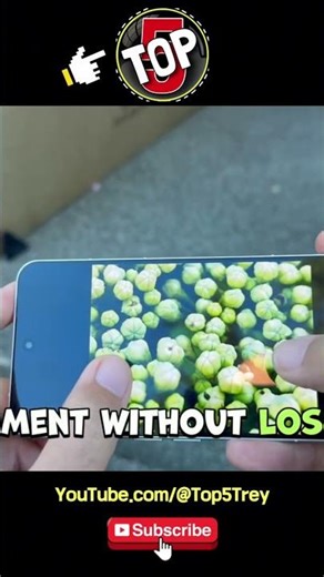 Is this the BEST phone camera? #shorts