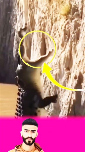 ​"من قال إن القوي دائماً يفترس الضعيف؟ أحياناً يكون سنداً له."#معلومة #أسرار #يوتيوب #اكسبلور