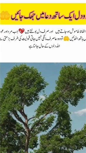 When Two Souls Pray Together #PowerOfPrayer #TogetherInDua #FaithInAllah #SpiritualMoment