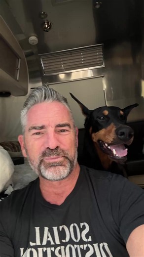 Doberman selfie tips: Capture your dog on Airstream adventures