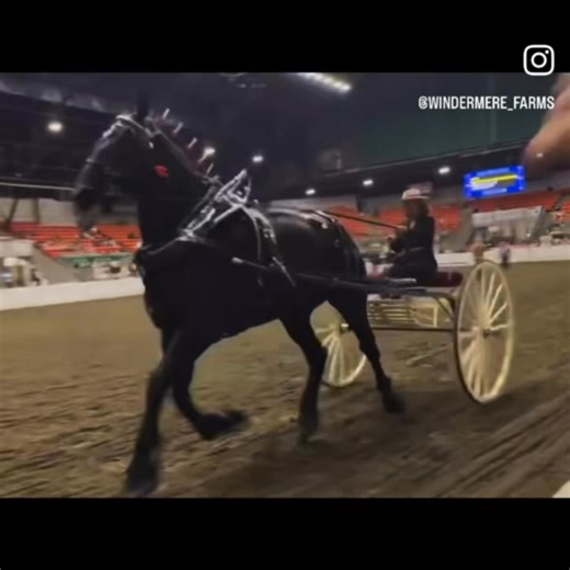🎆We had a blast showing at the Big E in Springfield Massachusetts! | Windermere Farms