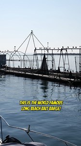 632K views · 7.3K reactions | World Famous Bait Barge with Nacho in...