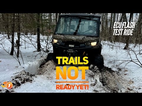 Top Speed Run | Throttle Response | Cooler Engine - Can AM ECU Flash