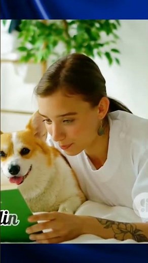 Puppy Training Tips: The DO's & DON'Ts!