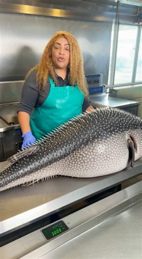 “Marie really cooking a GIANT blowfish like it’s regular dinner 🐡🔥”