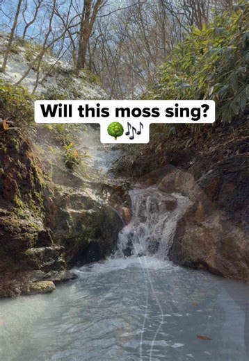 Moss Sound Experiment in Hokkaido's Hot Springs