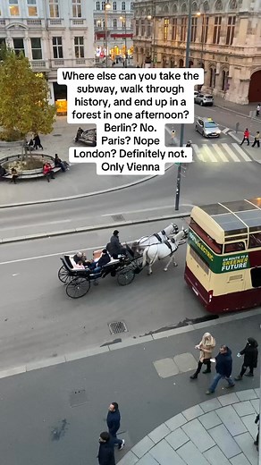 12K views · 346 reactions | “Where else can you take the subway, walk through history, and end up in a forest in one afternoon?Berlin? No.Paris? Nope.London? Definitely not.Only Vienna #vienna #fblifestyle #berlin #paris #London | Viennahighlights | Facebook
