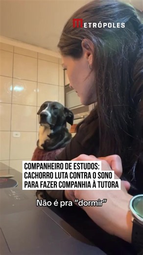 💤 💙 Em #Arapongas (PR), Juliana Costa conquistou os internautas ao compartilhar um vídeo protagonizado por seu #cachorro #Luke, que viralizou nas redes sociais no último domingo (26/07). Na gravação, Juliana aparece em frente ao computador, concentrada para concluir seu curso. Enquanto estuda, ela pede para que Luke não durma e fique fazendo companhia durante esse momento. O pet até tenta obedecer, mas demonstra estar com muito sono. Com os olhos cada vez mais fechados e uma expressão de cansa