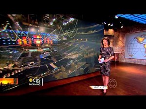 Norah O'Donnell - cougar outfit