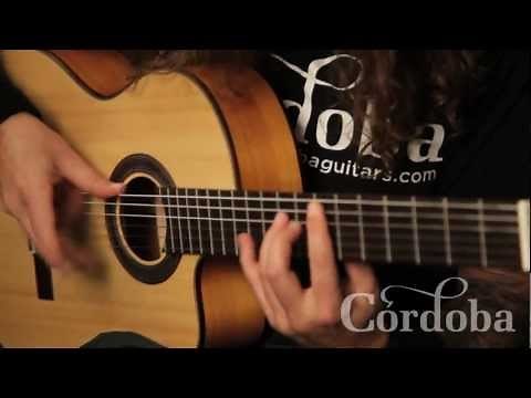 Hybrid Heavy Metal and Flamenco Techniques