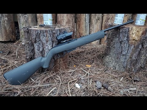 Crosman 1077 Air Rifle Repair