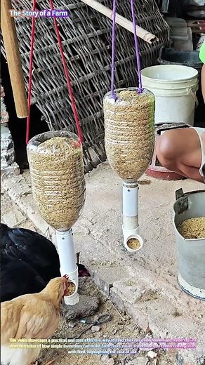 DIY Chicken Feeders: Feeding Time at the Farm 🐔🌾
