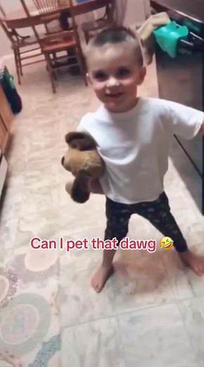 Can I pet that dawg 🤣#randoclippo #fyppppppppppppppppppppppp #like #trending #funny #funnydog #funnykids #cute