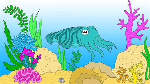 The Wide Diversity of Pupil Shapes Among Animals