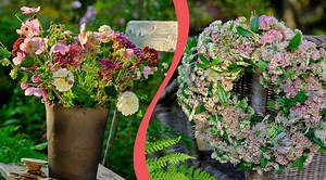 Bukett och arrangemang med kärleksört – tips till hösten
