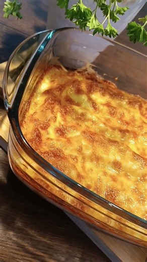 Cannelloni mit Hackfleisch und Béchamelsauce #fleischgericht #cooking #leckerkochen #yummy
