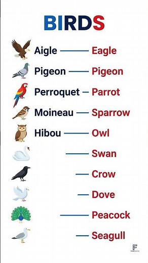 Bird Names in French | French Vocabulary 🇫🇷 #shorts
