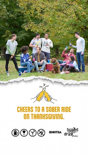 Don't let drunk driving ruin a weekend of fun with friends and family - or for someone else and their family. Make it to Thanksgiving alive. Drive sober, and if you plan to drink, designate a driver. #BuzzedDriving is drunk driving. | Danville VA Police Department