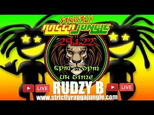 RAGGA JUNGLE DRUM AND BASS MIX 2022 - reggae dnb - LIVE - RAGGA JUNGLE DJ