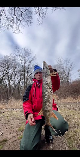 Effective Bass Fishing Techniques for Northern Pike with Swimbaits