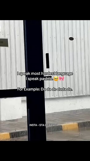 ‎غنم رنگ🌸‎ | #stalewanoo . . . #stalewanoo #reels #reelsinstagram #swat #peshawar #memes #swatvalley | Instagram