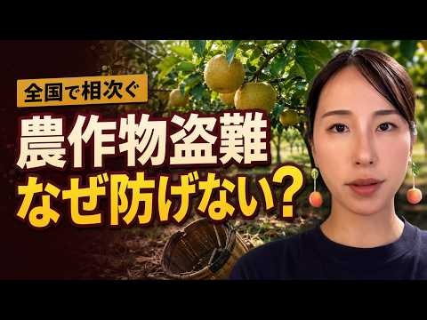 盗まれても8割が事件化せず…農作物盗難のリアル【生産者179人調査】