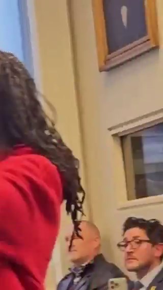 Jessica Jackson calls out a reparations panel for bringing African immigrants to speak on behalf of Black Americans on issues rooted in U.S. slavery & its aftermath. Reparations for Black Americans are lineage specific. This is about American chattel slavery, general impact ✊🏾🗣️