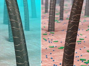 Preparing for Surgery: CHG Skin Cleanser (Soap, Shower)