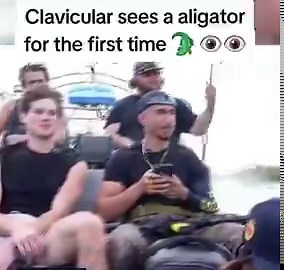 Streamer Clavicular could face prison over an alligator incidentUnder Florida Statute 379.409, intentionally killing or injuring an alligator is a third-degree felony → up to 5 years in prison + $5,000 fine (unless permitted)A few days ago on stream they were driving through swamps with alligatorsBut reports suggest the alligator was already dead (floating in the Everglades), so the “killing/injuring” part may not applyFlorida Fish and Wildlife Conservation Commission is still investigating poss