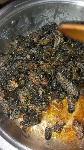 Mopane Worms/Madora, Southern African delicacy #africanfood
