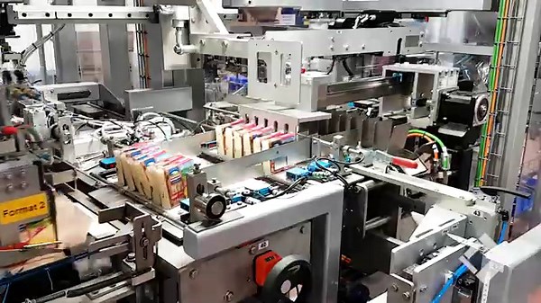 Meypack VP21 case packing machine