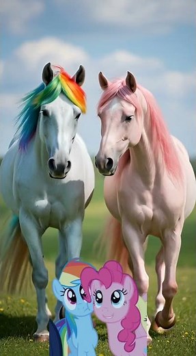 💕 MLP Couple Like You’ve Never Seen Before… Rainbow Dash & Pinkie Pie