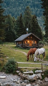 At the edge of still water, a small wooden cabin glows softly as evening settles into the valley. Tall pines rise like quiet guardians, their deep green tones layered against the mountains beyond. Two horses graze calmly in the meadow, their movements slow and unhurried, mirroring the peaceful rhythm of the place. The lake reflects the warm window light, carrying it across the surface like a whisper of home in the wilderness. | Cabin Dreams