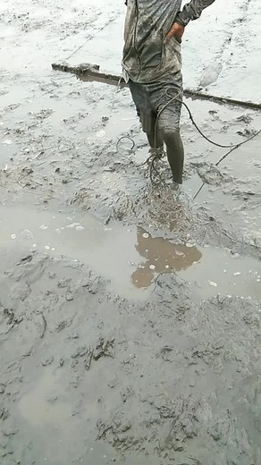 Video của sjsjjs Án (@sjsjjswithout) với bản nhạc nhạc nền - Nguyễn Thái Học