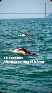 Alcatraz to Angel Island. | Pacific Open Water Swim Co.