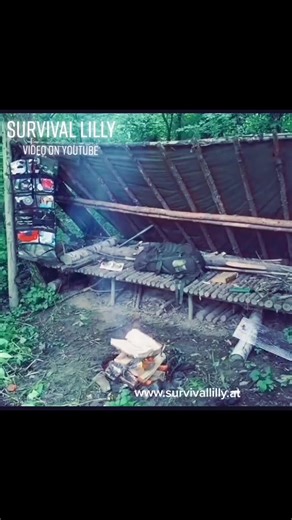 Survival Lilly's shelter #bugout #survivalskills #survival #apo1 #survival #bushcraft #camp #fishing #steak #survivalchallange #survivallilly #camping