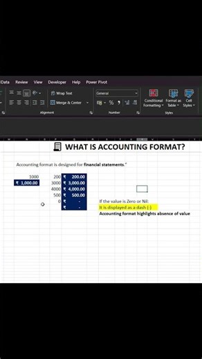 Accounting Format in Excel