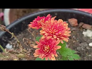 செங்கல் சூலையில் உள்ள சிசிடிவி ஆதாரத்தை வைத்து வில்லி செய்த நாடகத்தை அம்பலப்படுத்திய ஹீரோ