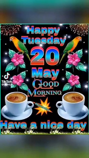 Gregory Mora Moreau on Reels