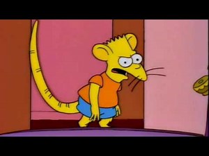 S06E17 - Homer on Dear Rat Boy