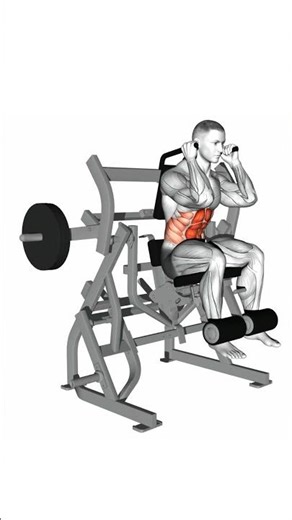 Lever Seated Leg Raise Crunch