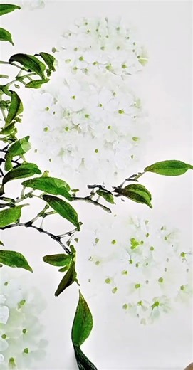 Hydrangea Language Decoded: The Chinese Secret Code Unveiled